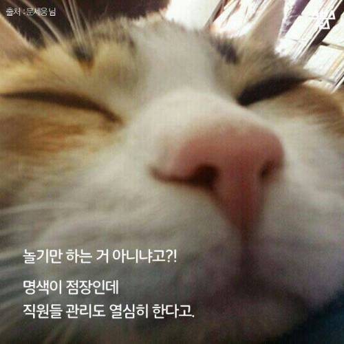 백수에서 점장으로.jpg