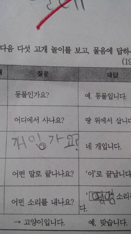 어린이........질문둥절.jpg