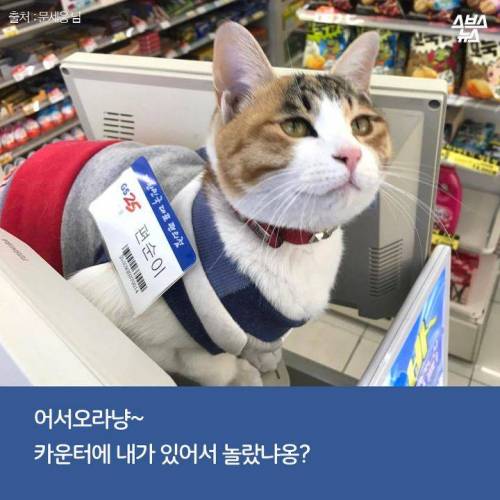 백수에서 점장으로.jpg