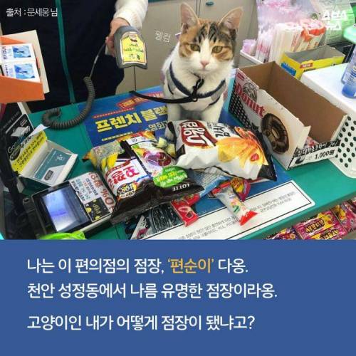 백수에서 점장으로.jpg