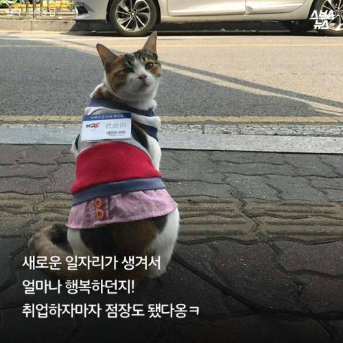 백수에서 점장으로.jpg