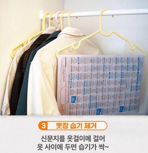신문지가 이렇게 만능템이었나?
