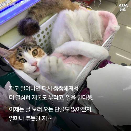 백수에서 점장으로.jpg