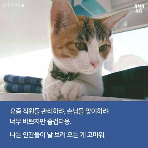 백수에서 점장으로.jpg