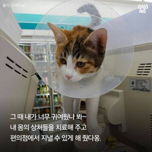 백수에서 점장으로.jpg