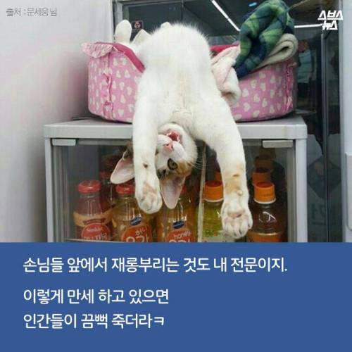 백수에서 점장으로.jpg