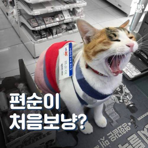 백수에서 점장으로.jpg