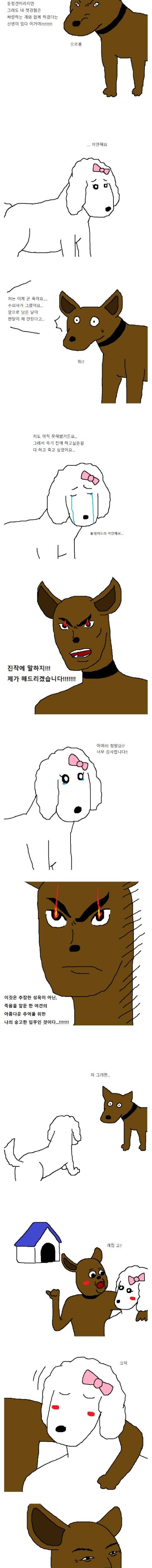 개돌이의 운수 좋은날?