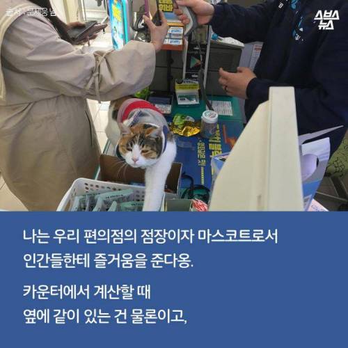 백수에서 점장으로.jpg