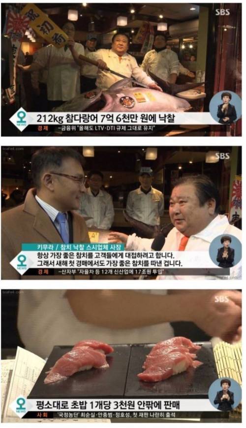 참치가 7억 6천만원.jpg