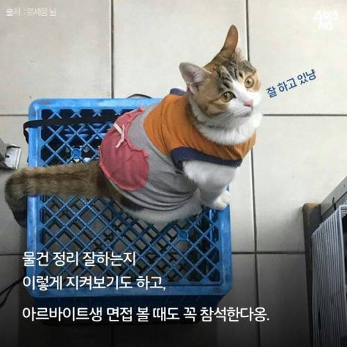 백수에서 점장으로.jpg
