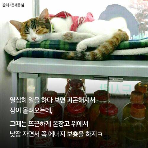 백수에서 점장으로.jpg