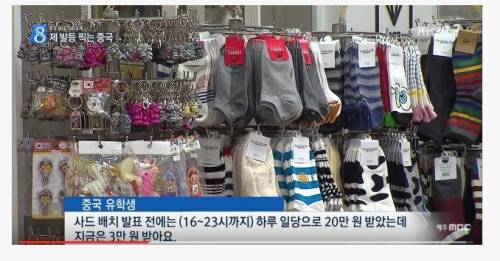 제주도 중국인 유학생 하루 일당
