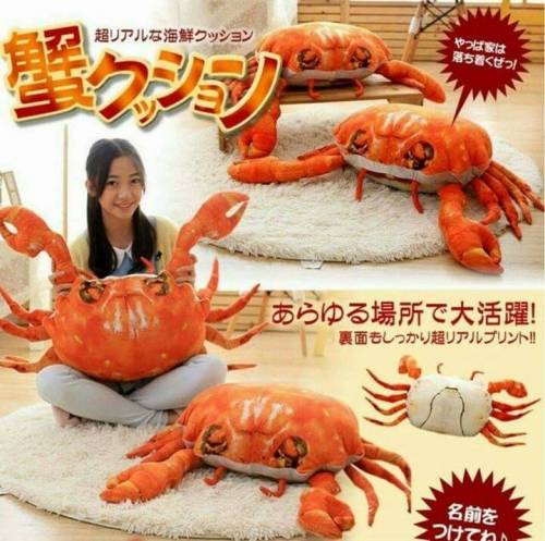 열도에서 파는 쿠션