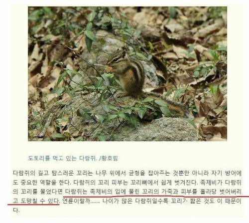 흔한 네이버 댓글수준.jpg