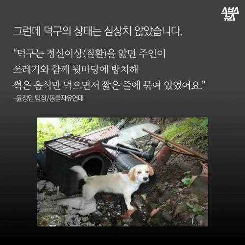 김국진이 덕구를 돌보는 이유.jpg