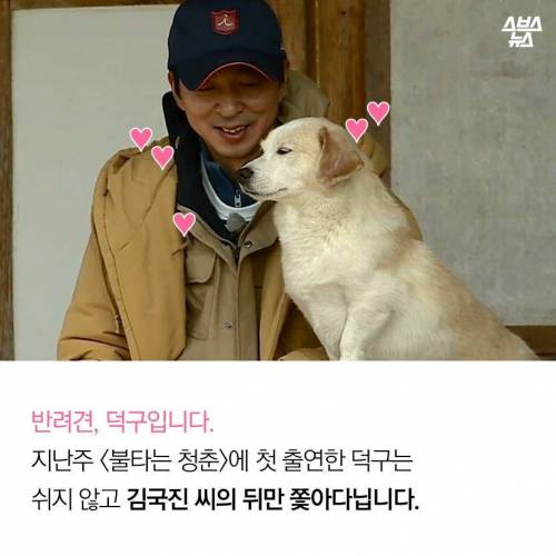 김국진이 덕구를 돌보는 이유.jpg
