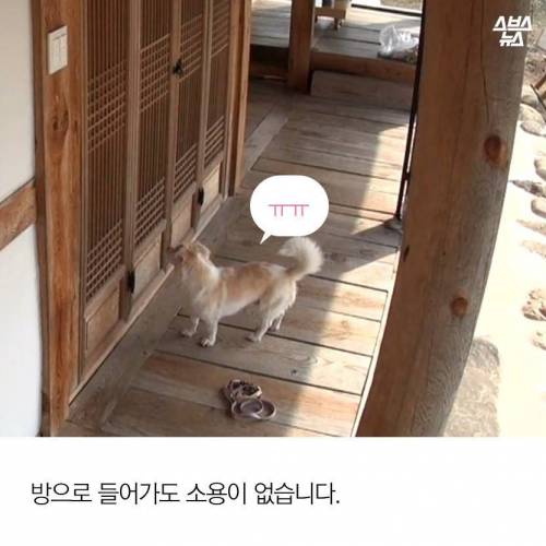 김국진이 덕구를 돌보는 이유.jpg