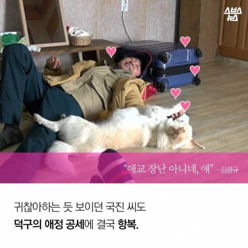 김국진이 덕구를 돌보는 이유.jpg