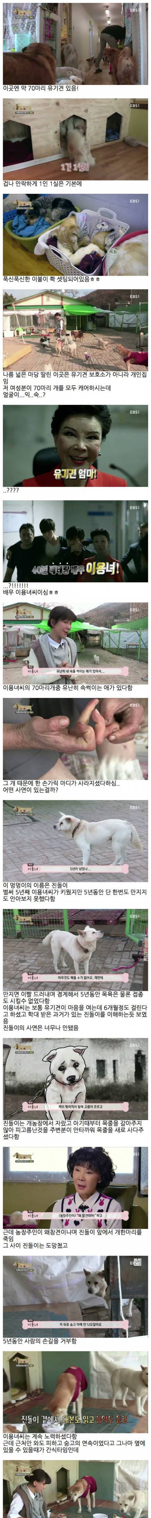 5년동안 만지지 못한 멍멍이.jpg