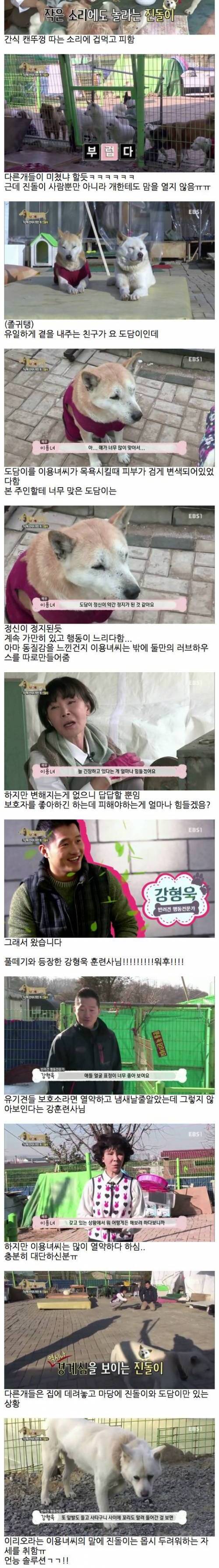 5년동안 만지지 못한 멍멍이.jpg