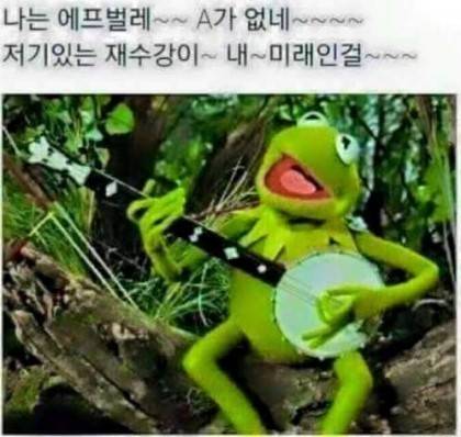 이맘때 대학생들 .jpg
