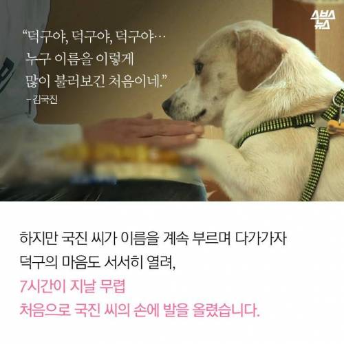 김국진이 덕구를 돌보는 이유.jpg