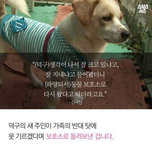 김국진이 덕구를 돌보는 이유.jpg