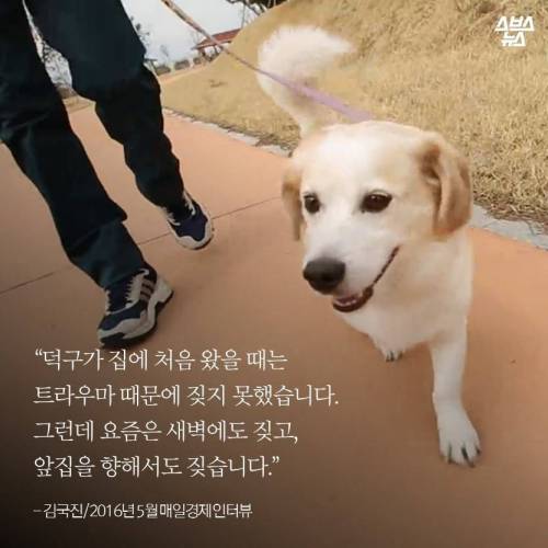 김국진이 덕구를 돌보는 이유.jpg