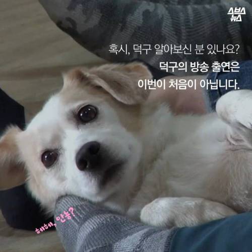 김국진이 덕구를 돌보는 이유.jpg
