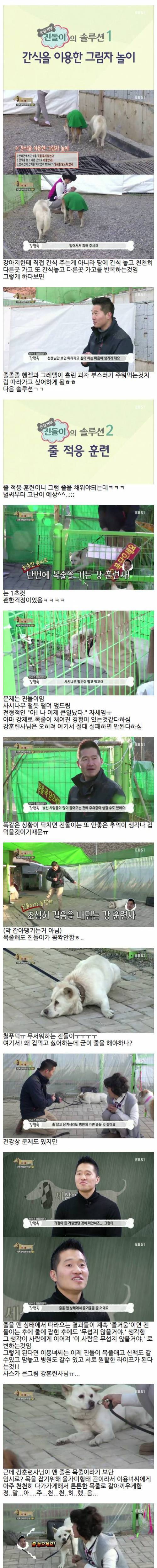 5년동안 만지지 못한 멍멍이.jpg