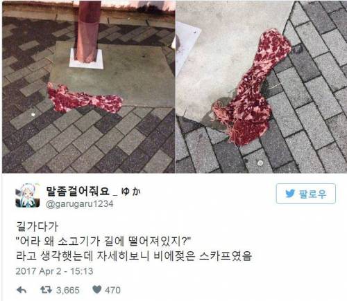 길가에 왠 소고기가.twit