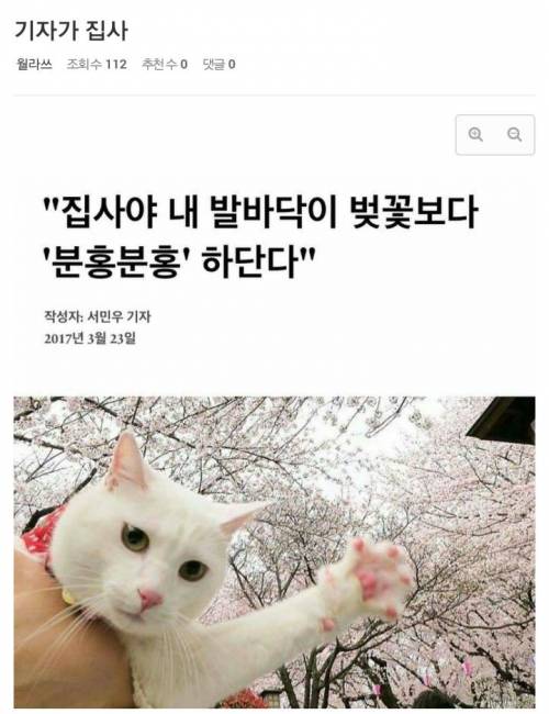 기자가 집사.jpg
