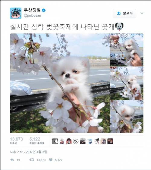 꽃개.twit