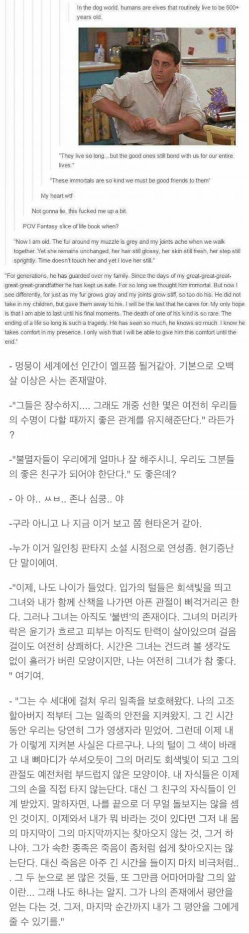 개와 인간의 수명을 개의 관점에서 보아 보았다