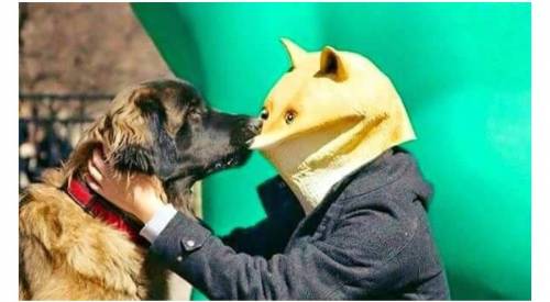 특이점이 온 가면
