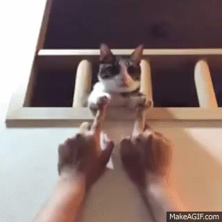 쎄쎄쎄.gif