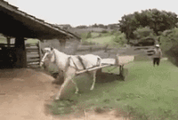 후진주차의 정석.gif