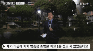 엄청난 수의 하루살이떼.jpgif