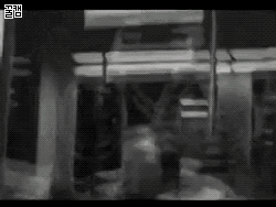 급 분노조절.gif
