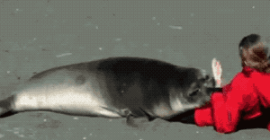 물멍뭉이.gif