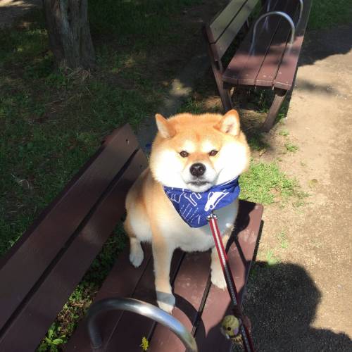 안 가!!!!!!!!!!!!!.jpg
