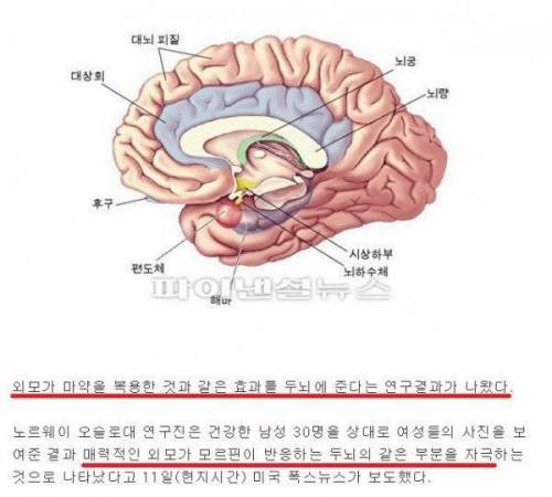 예쁘고 잘생긴 사람이 인기있는 이유