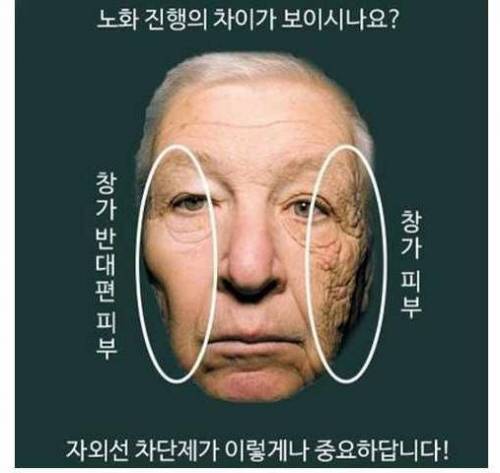 선크림이 중요한 이유.jpg