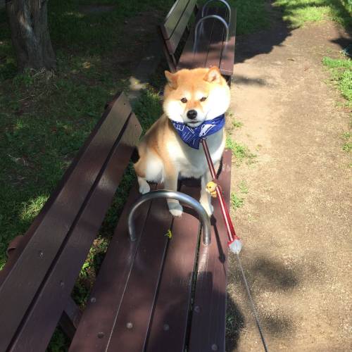 안 가!!!!!!!!!!!!!.jpg