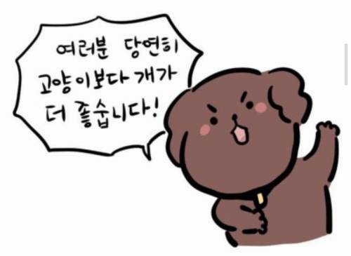 개와 고양이.jpg