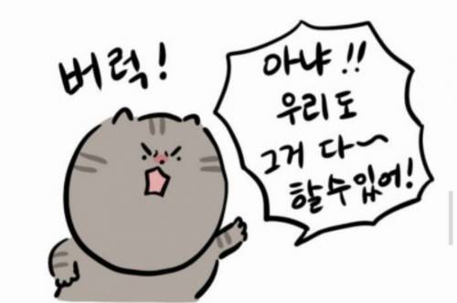 개와 고양이.jpg