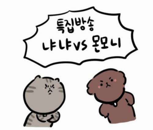 개와 고양이.jpg