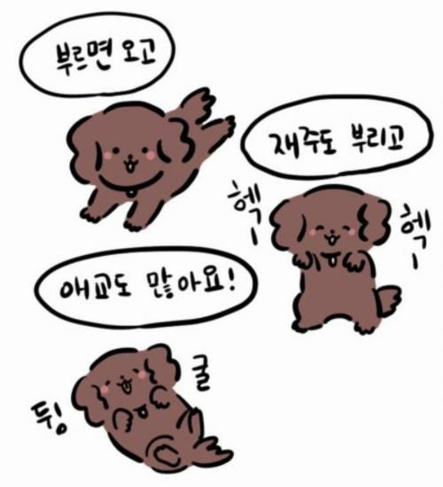개와 고양이.jpg