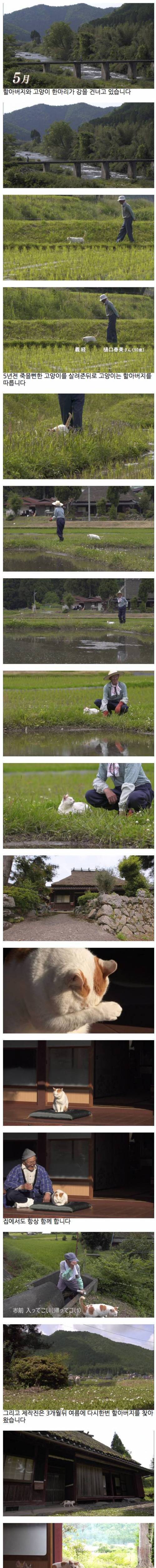 할아버지와 고양이.jpg